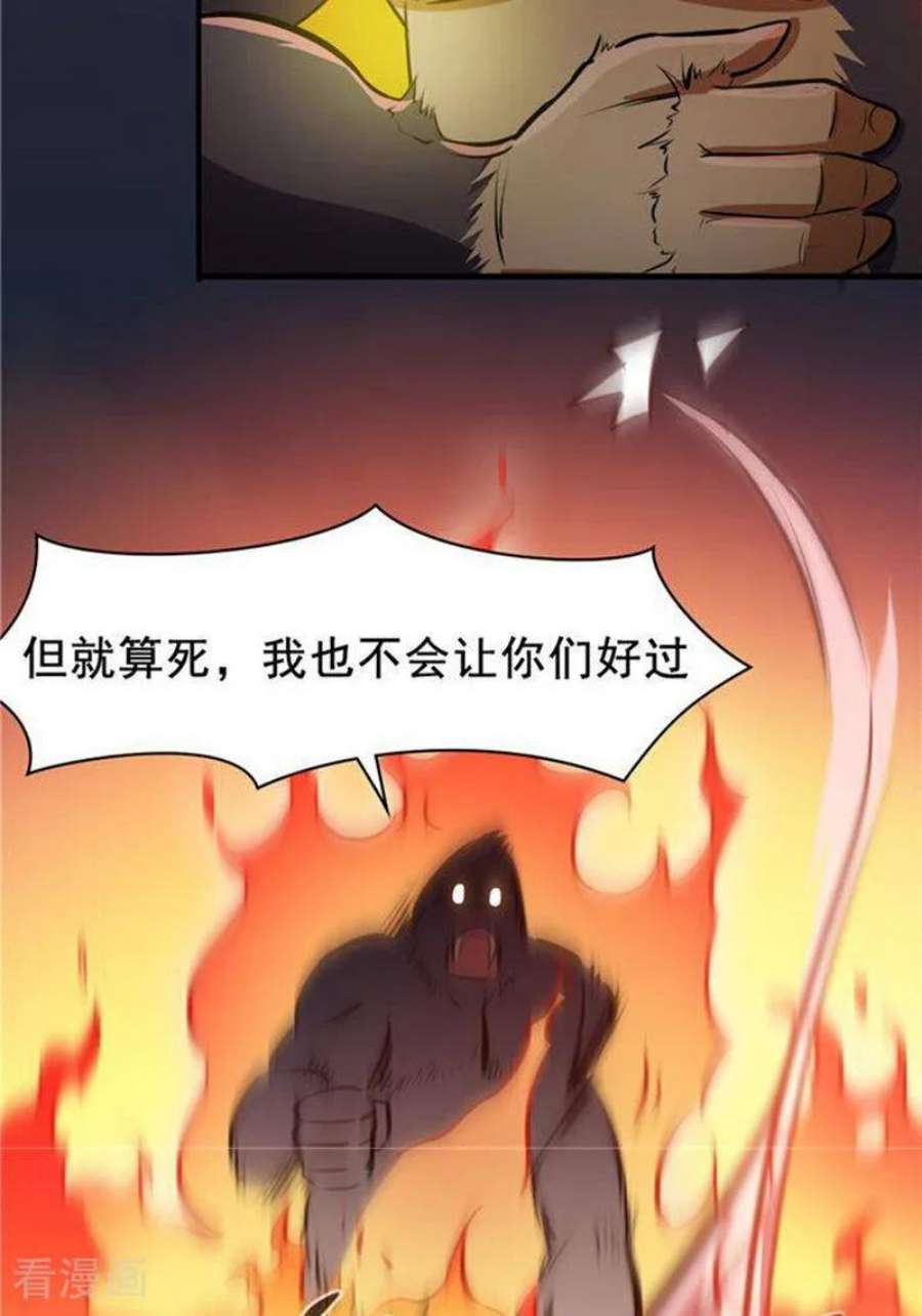 41.jpg