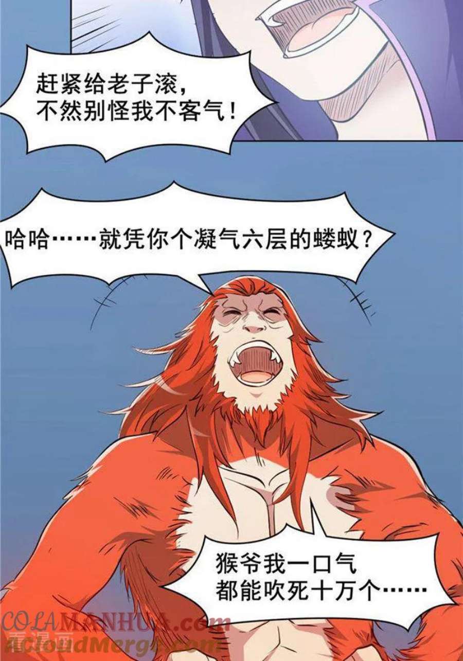 17.jpg