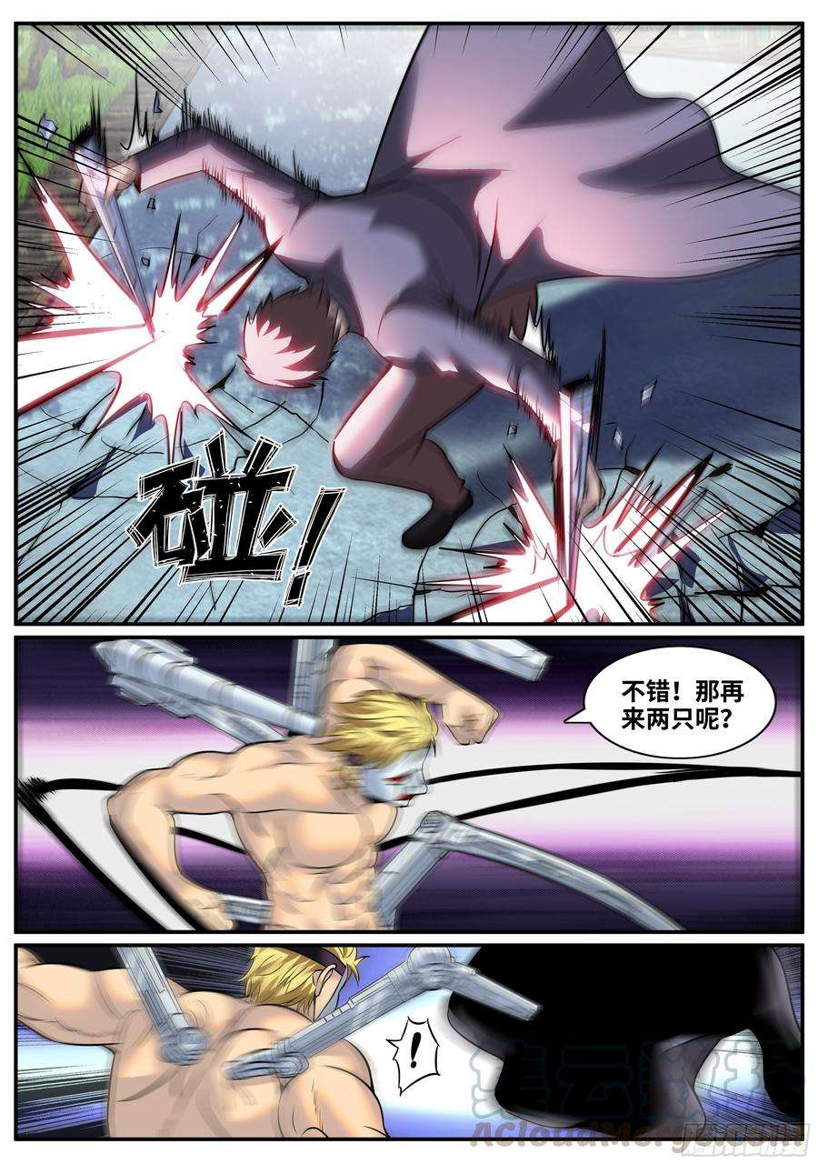 5.jpg