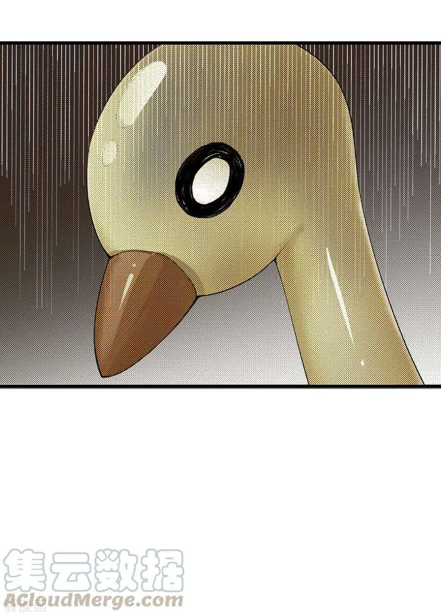 29.jpg