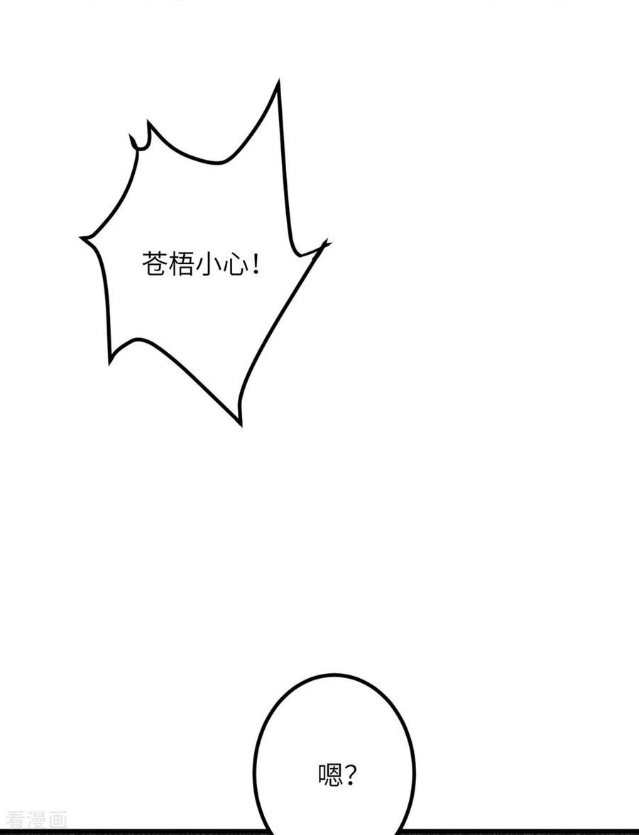 26.jpg