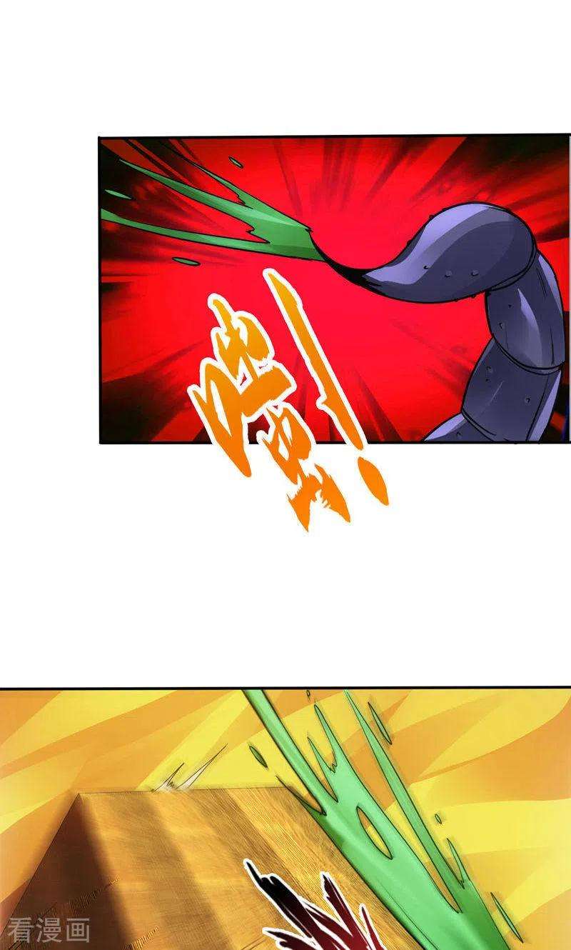 24.jpg