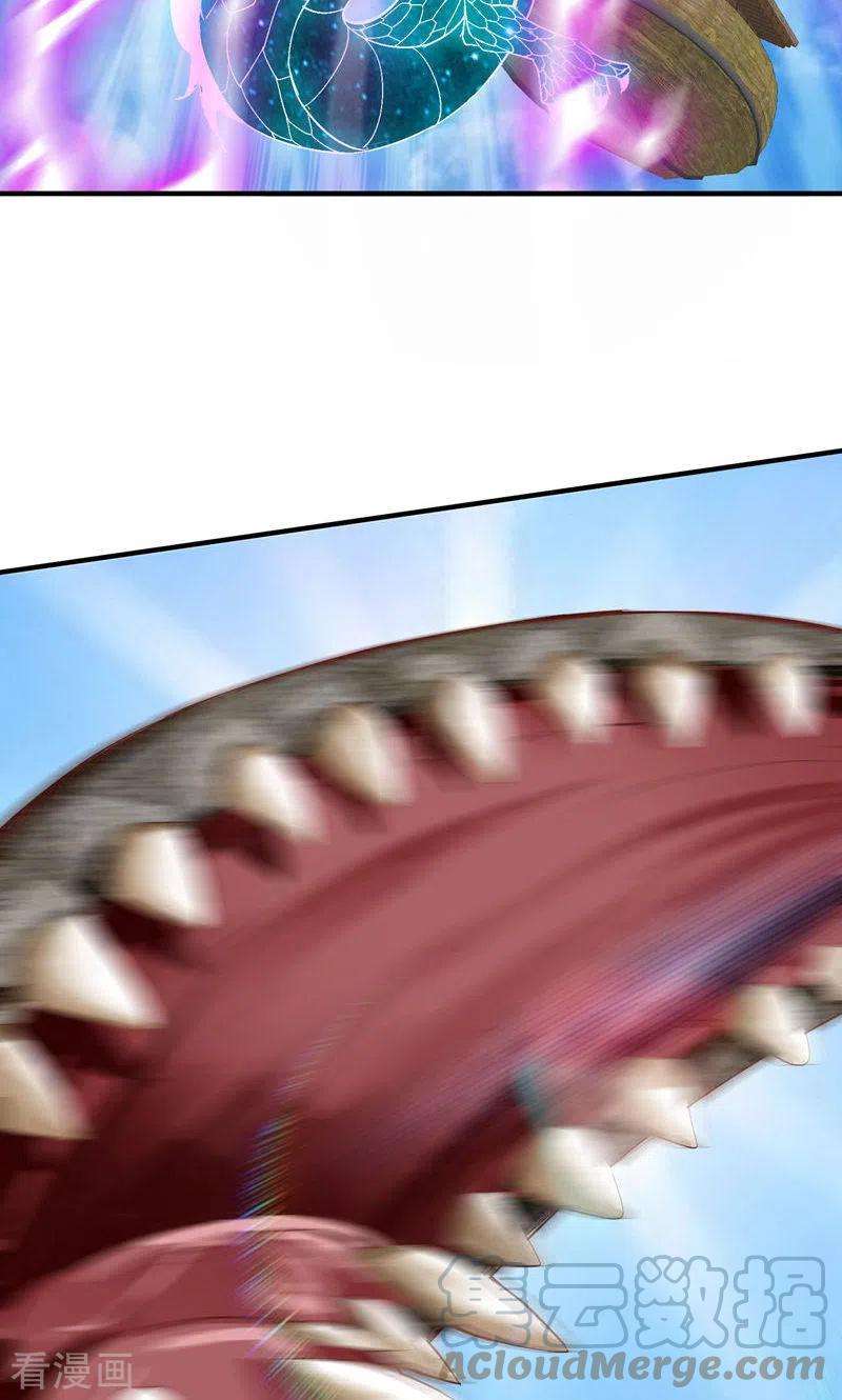31.jpg