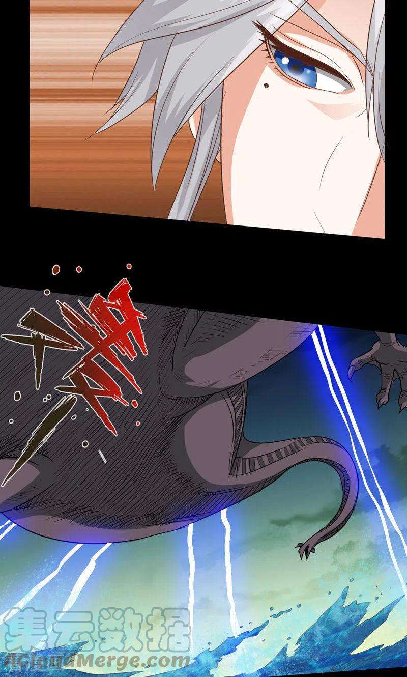 13.jpg