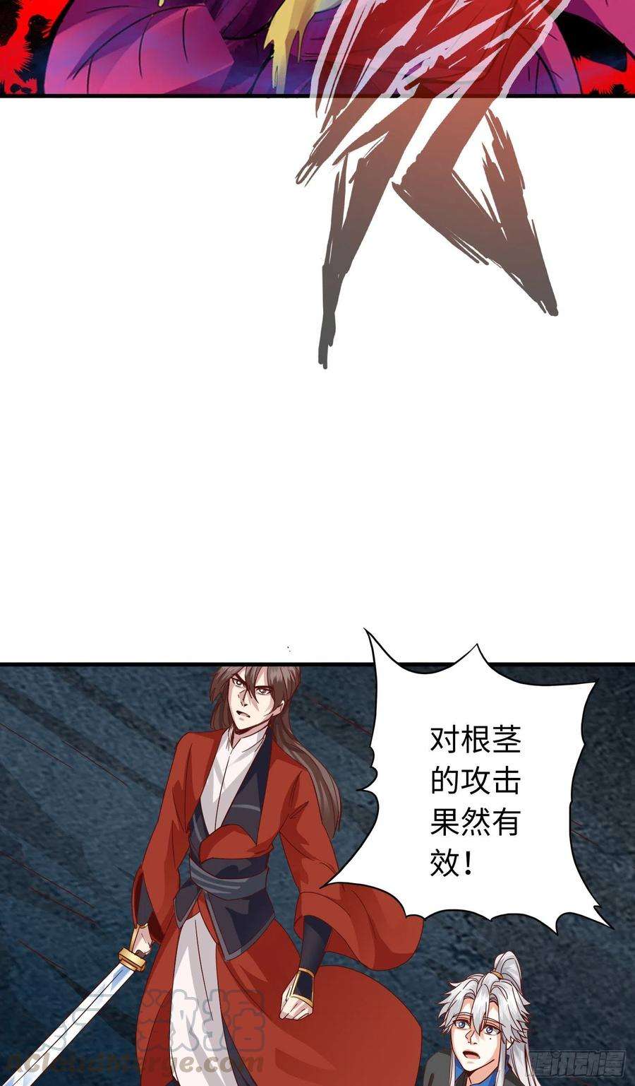 11.jpg