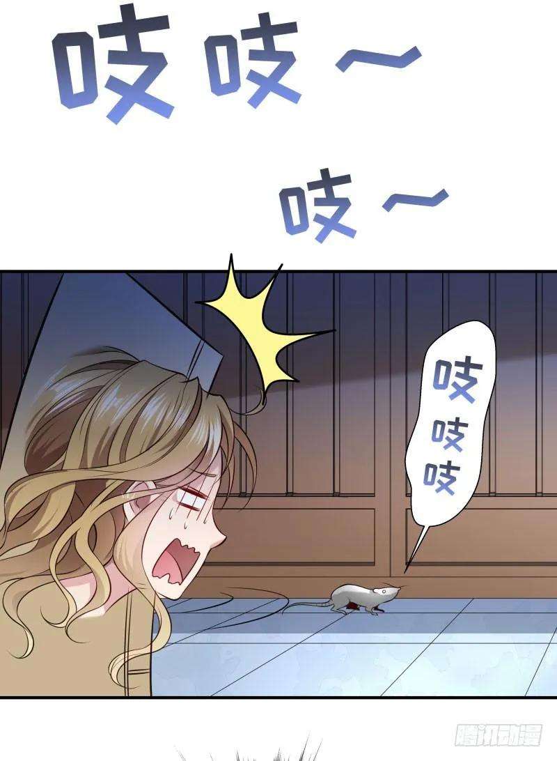 29.jpg