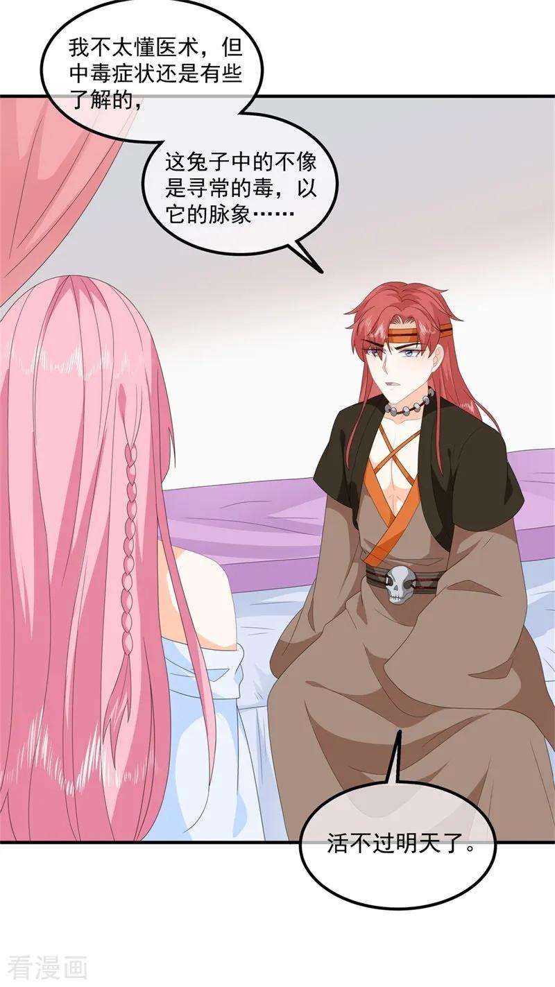 15.jpg