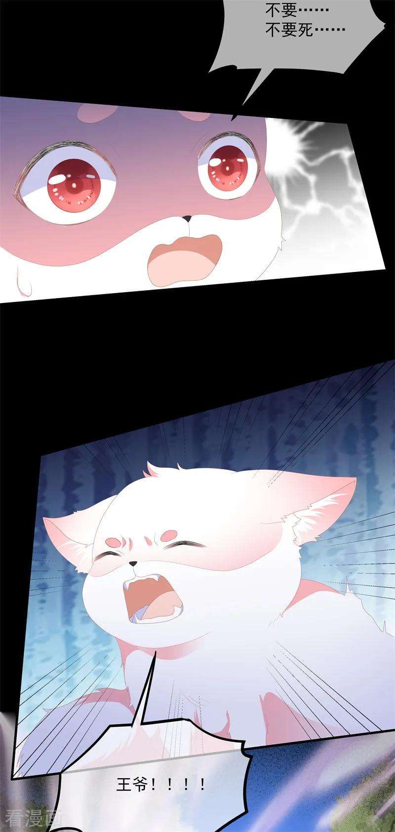 27.jpg