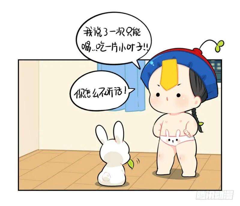15.jpg