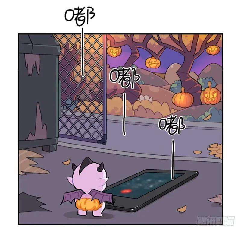 35.jpg