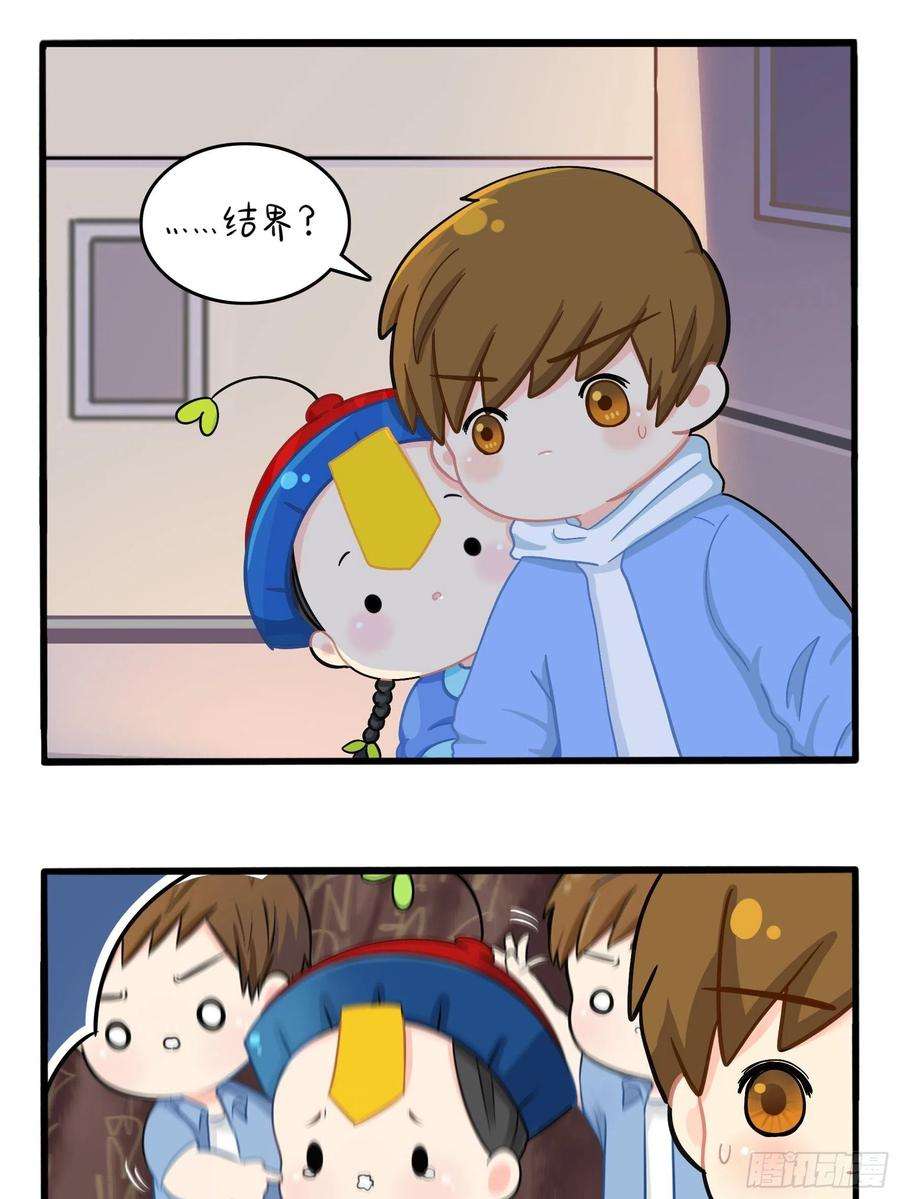 29.jpg