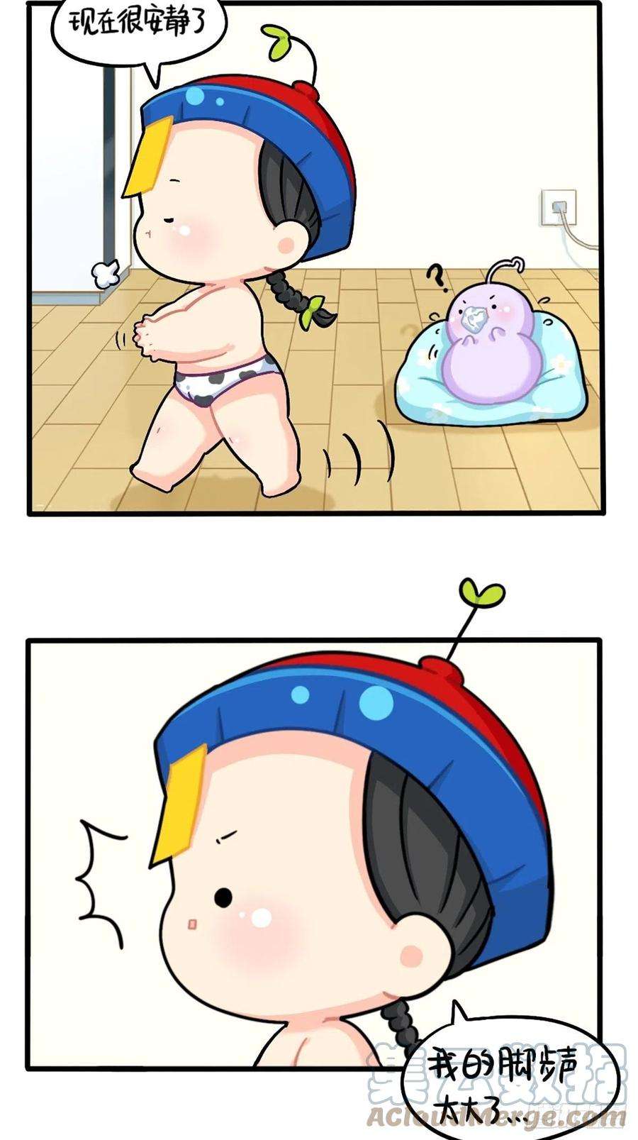 5.jpg