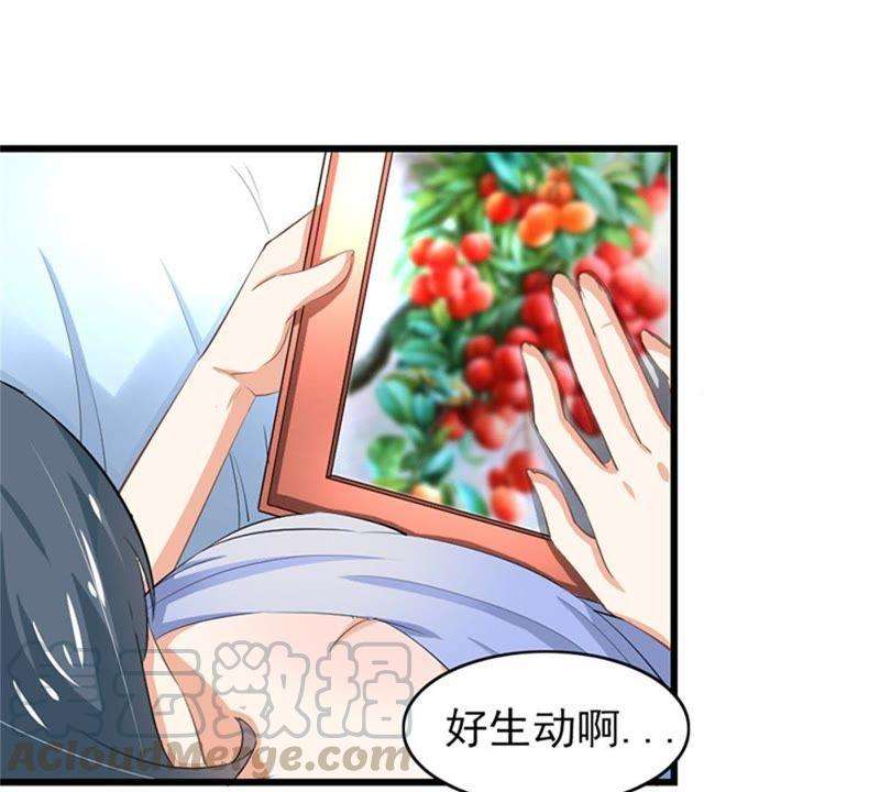 40.jpg