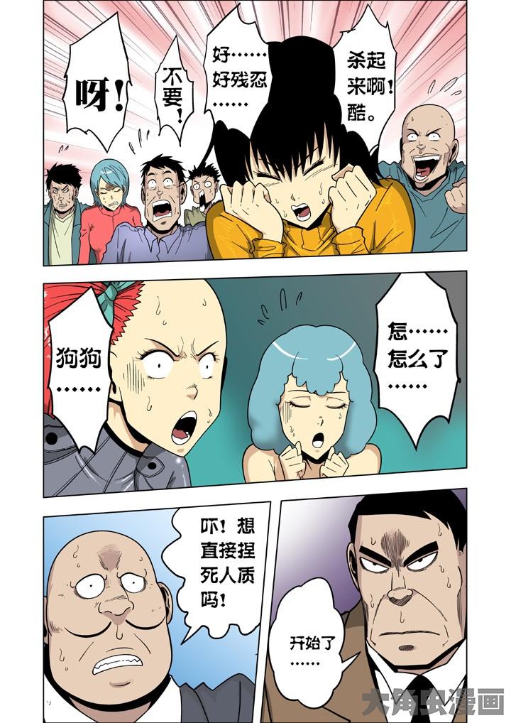 6.jpg