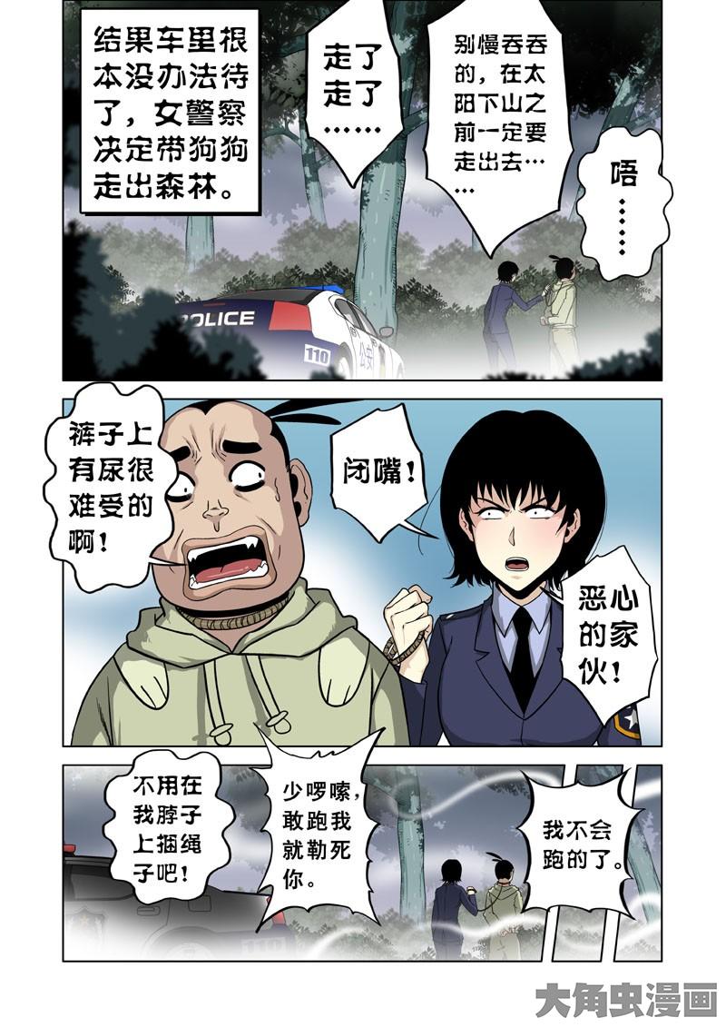 5.jpg