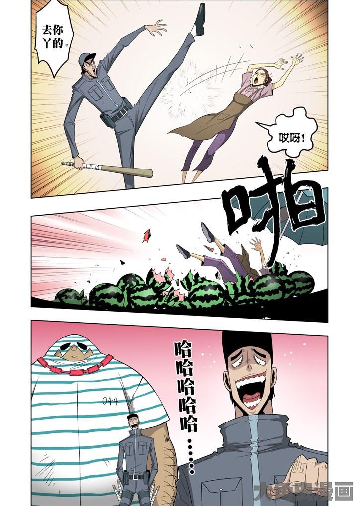 5.jpg