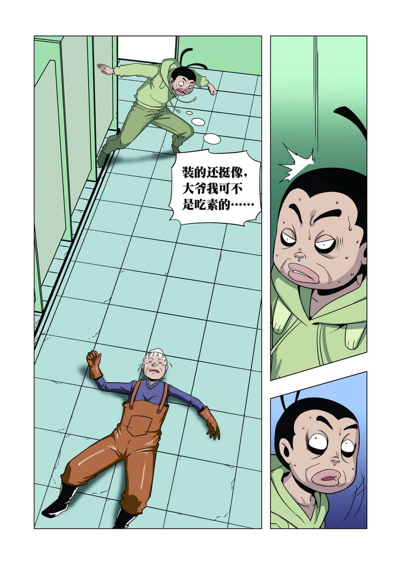 13.jpg