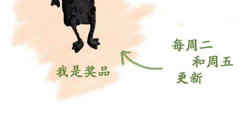 68.jpg