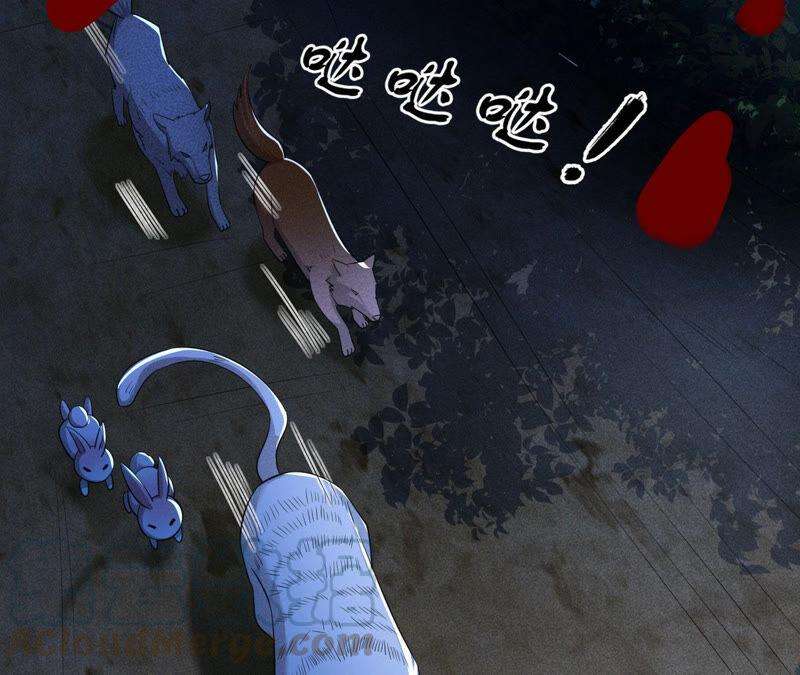 43.jpg