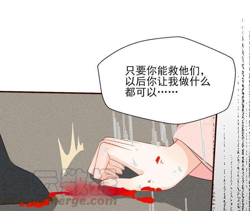 61.jpg