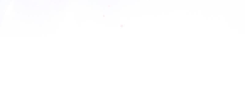 93.jpg