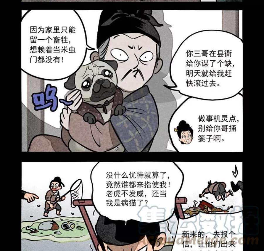 11.jpg