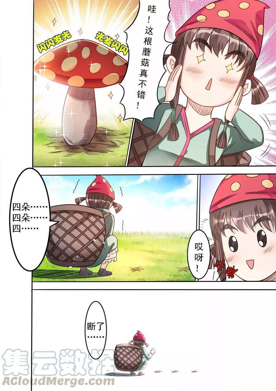 13.jpg