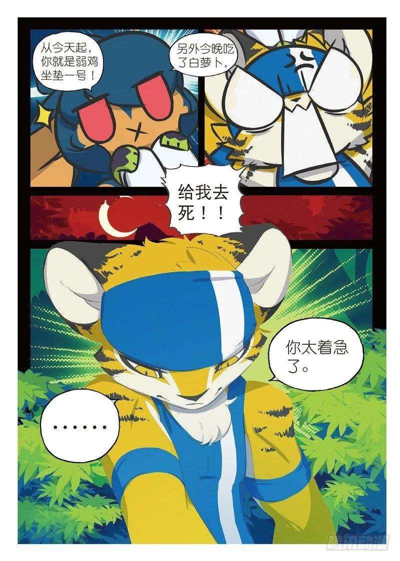 6.jpg