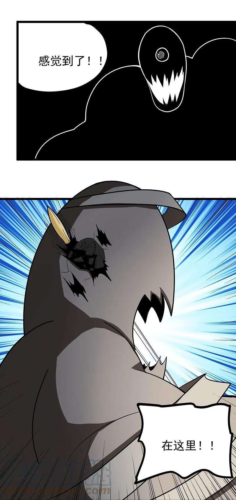 11.jpg