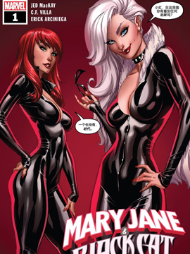 玛丽简与黑猫：超越漫画