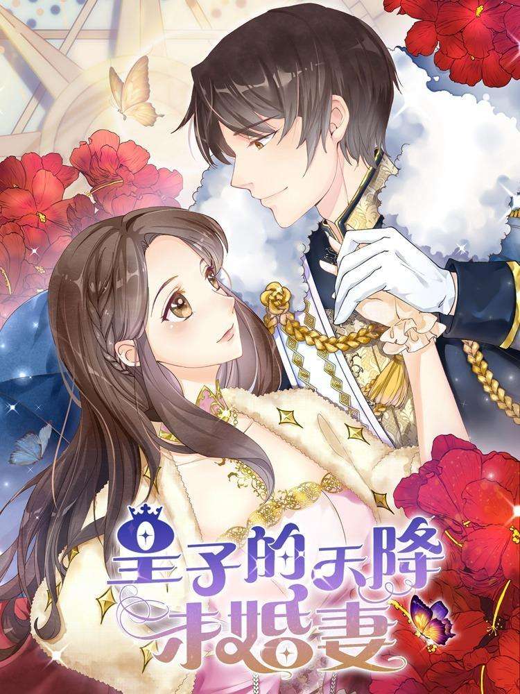 皇子的天降未婚妻